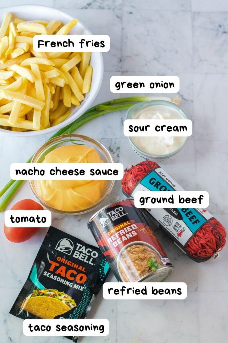 labeled ingredient photo nacho fries
