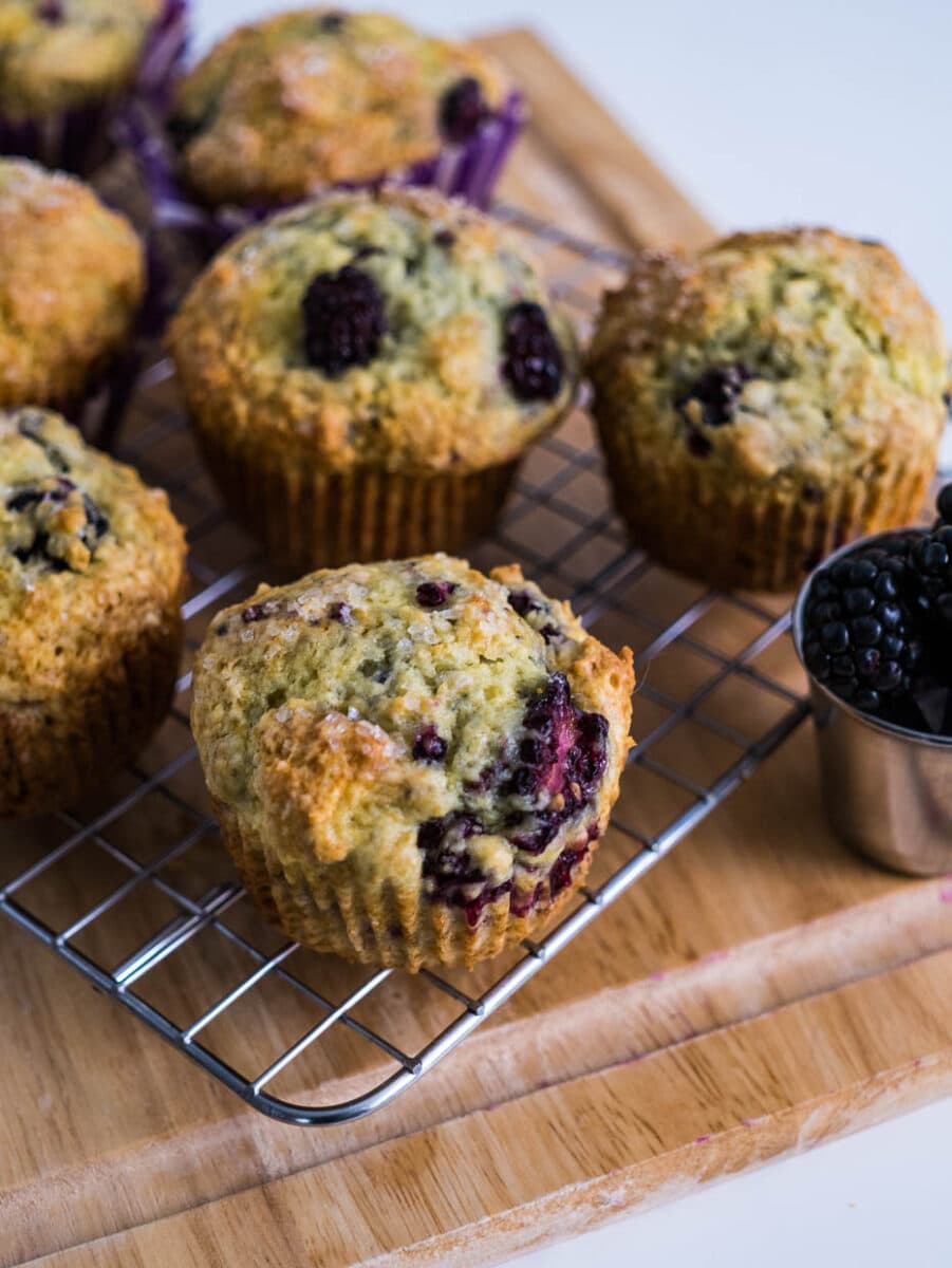 blackberry muffins on a wire rack with a dish of blackberries.