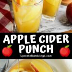 Pinterest collage apple cider punch.