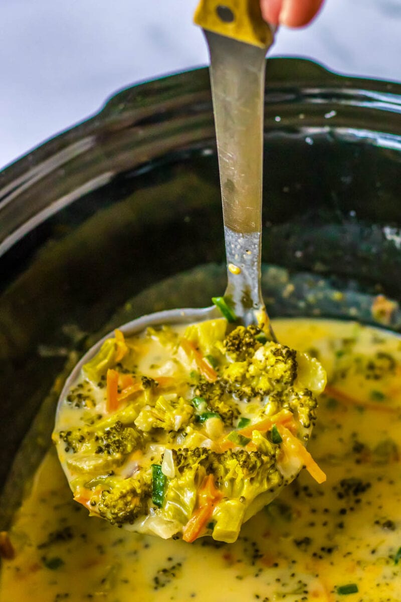 A spoon full of broccoli soup in a crock pot.