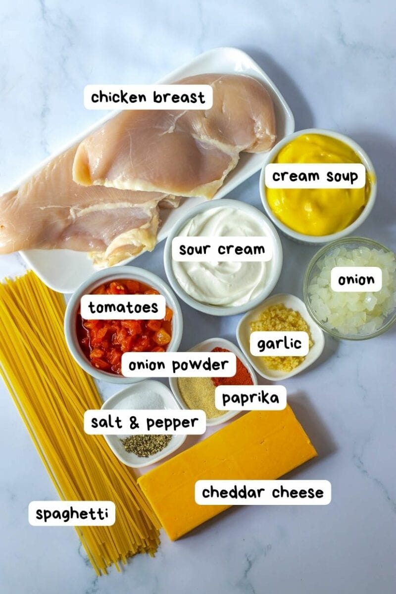 Crock pot chicken spaghetti ingredients on a white plate.