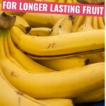 Discover the best practices on how to store bananas for extended freshness.