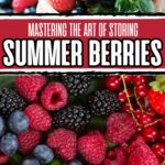 Tips for keeping summer berries fresh.