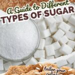 An informative poster illustrating various types of sugar, promoting culinary creativity.