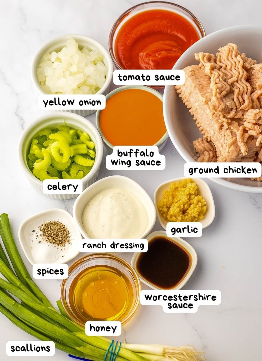 Various ingredients neatly arranged for a recipe, including ground chicken, celery, scallions, spices, and assorted sauces like tomato and buffalo wing sauce.