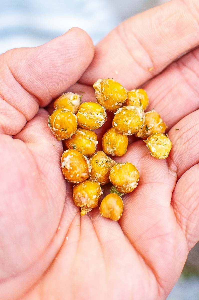 A person's open hand holding a small handful of roasted chickpeas sprinkled with salt and spices.