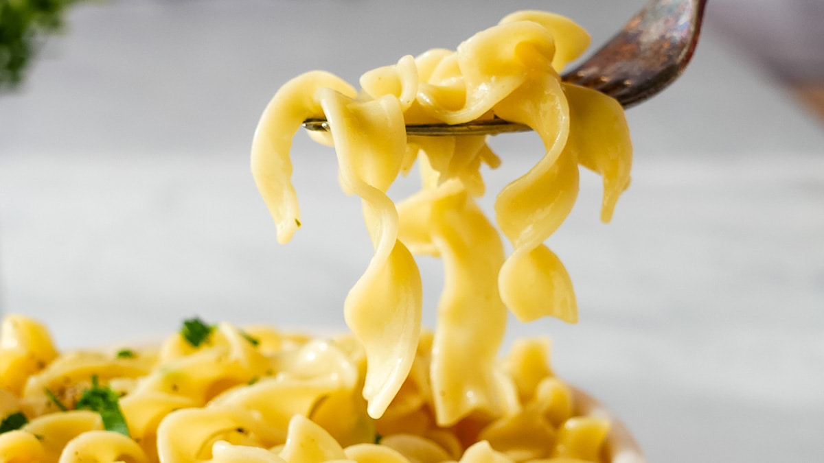 A fork twirling a serving of amish noodles.