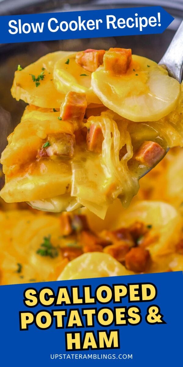 A close-up of scalloped potato and ham being served with a spoon, topped with parsley, perfectly showcasing this delicious slow cooker recipe.