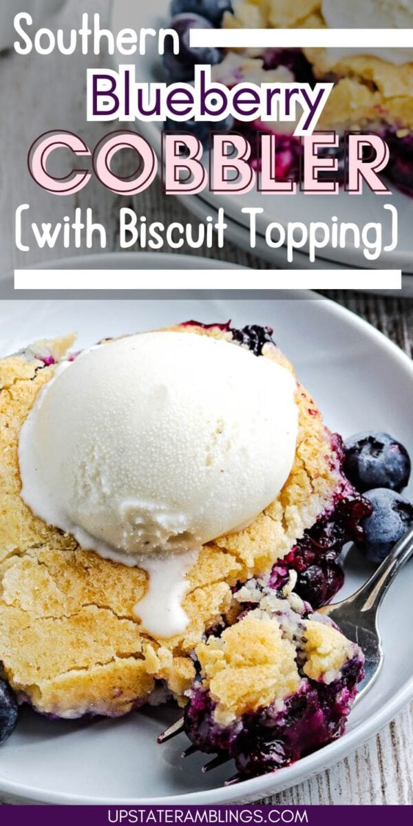A plate of blueberry cobbler with biscuit topping, served with a scoop of vanilla ice cream and fresh blueberries.