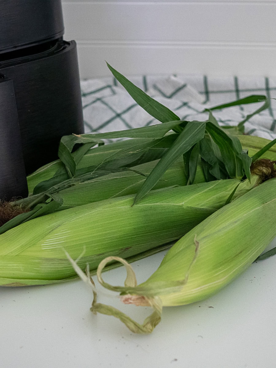 Two ears of corn in husks placed on a white surface next to a black kitchen appliance, with a checkered cloth in the background.