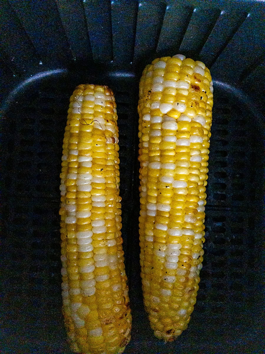 Two ears of cooked corn on the cob sit side by side in a black air fryer basket.
