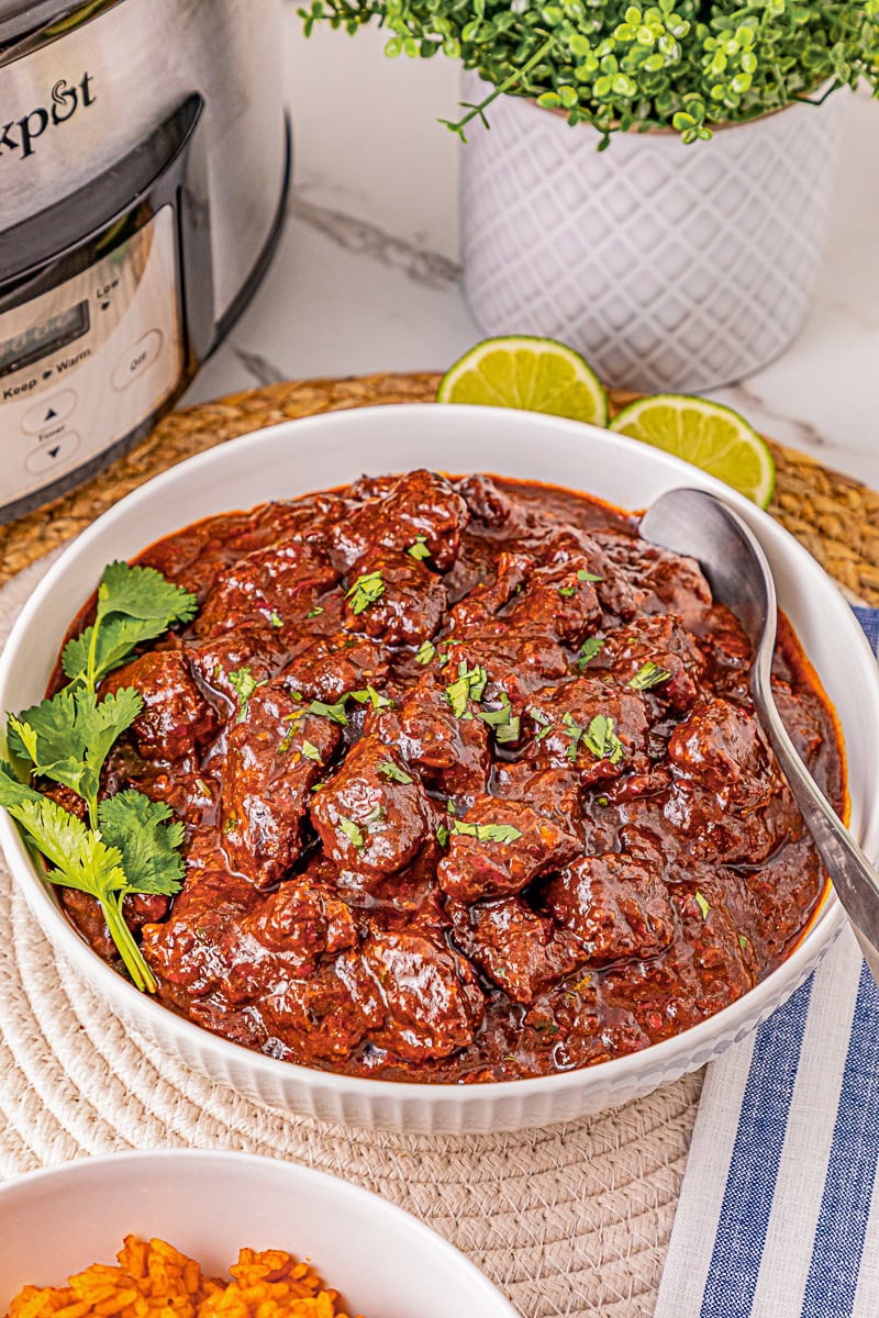 A white bowl filled with beef stew in a rich red sauce, garnished with cilantro, with a spoon, lime slices, and a slow cooker in the background.
