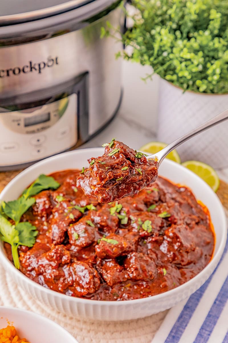 A white bowl filled with saucy beef stew garnished with herbs, with a spoonful held above it. A slow cooker, plant, and lime wedges are visible in the background.
