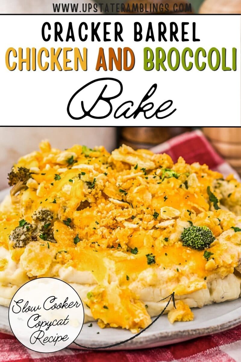 A plate of chicken and broccoli bake topped with melted cheese and breadcrumbs, garnished with parsley, sits on a red checkered napkin.
